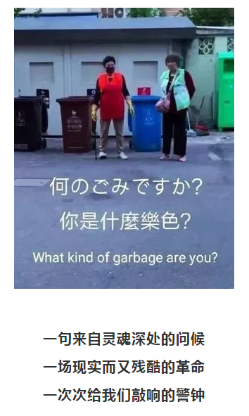 你被“垃圾分類”洗腦了嗎？揭秘強(qiáng)制分類背后的驚天秘密！-